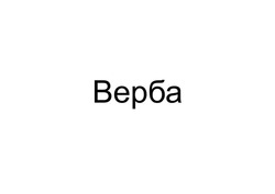 Заявка на торговельну марку № m202418009: верба