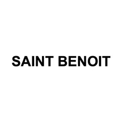 Свідоцтво торговельну марку № 323844 (заявка m202025317): saint benoit
