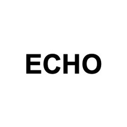 Свідоцтво торговельну марку № 321561 (заявка m202004321): echo; есно