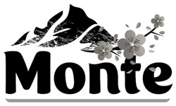 Заявка на торговельну марку № m202511716: monte