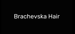 Заявка на торговельну марку № m202124704: brachevska hair