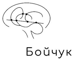 Заявка на торговельну марку № m202520224: бойчук