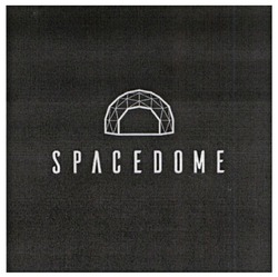 Заявка на торговельну марку № m202302540: spacedome