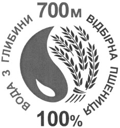 Свідоцтво торговельну марку № 171425 (заявка m201203833): вода з глибини; відбірна пшениця; 100%; 700м