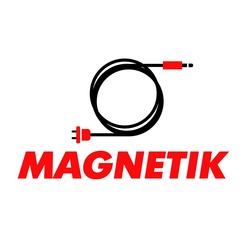 Свідоцтво торговельну марку № 309427 (заявка m202027449): magnetik