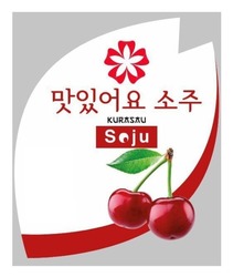 Заявка на торговельну марку № m202603976: soju