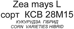 Свідоцтво торговельну марку № 132105 (заявка m200909413): zea mays l; corn varieties hibrid; сорт ксв 28м15; кукурудза гібрид; kcb 28m15; copt