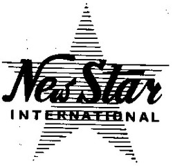 Заявка на торговельну марку № 93063345: new star international