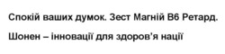 Заявка на торговельну марку № m202417085: b; здоровя; спокій ваших думок. зест магній в6 ретард. шонен-інновації для здоров'я нації.