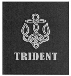 Заявка на торговельну марку № m201703632: trident