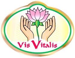 Заявка на торговельну марку № m200515130: vis vitalis