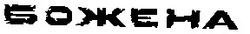 Заявка на торговельну марку № 93073447: божена