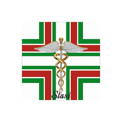 Заявка на торговельну марку № m202504303: stasi