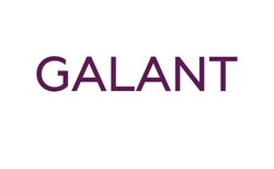 Заявка на торговельну марку № m202608323: galant