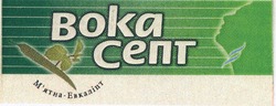 Свідоцтво торговельну марку № 103569 (заявка m200717167): boka; м'ятна-евкаліпт; вокасепт
