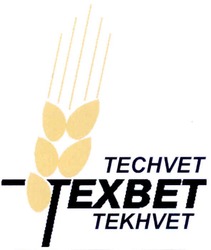 Свідоцтво торговельну марку № 156922 (заявка m201106201): techvet; tekhvet; техвет; texbet