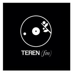 Заявка на торговельну марку № m202519406: teren (fm)