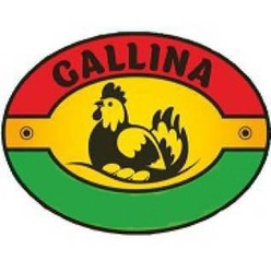 Заявка на торговельну марку № m202400421: gallina