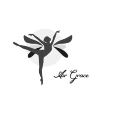 Заявка на торговельну марку № m202522039: air grace