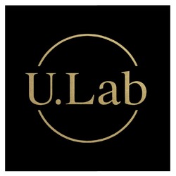 Заявка на торговельну марку № m202519926: u.lab