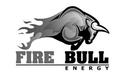 Свідоцтво торговельну марку № 311101 (заявка m201925445): fire bull energy