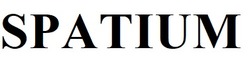 Заявка на торговельну марку № m202506855: spatium