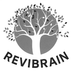 Заявка на торговельну марку № m202518968: revibrain