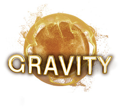 Заявка на торговельну марку № m202518589: gravity