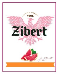 Заявка на торговельну марку № m202523785