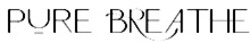 Заявка на торговельну марку № m202519910: pure breathe