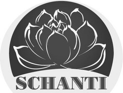 Заявка на торговельну марку № m202515144: schanti