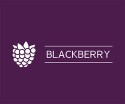Заявка на торговельну марку № m202211194: blackberry