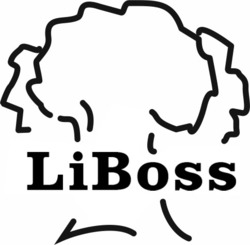 Заявка на торговельну марку № m202206114: li boss; liboss