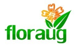 Свідоцтво торговельну марку № 316103 (заявка m202014314): floraug