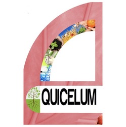 Заявка на торговельну марку № m202024155: quicelum; е