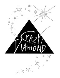 Свідоцтво торговельну марку № 197668 (заявка m201321748): crazy diamond