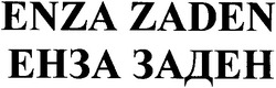Заявка на торговельну марку № 20040708035: enza zaden; енза заден