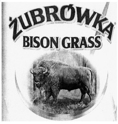 Свідоцтво торговельну марку № 200502 (заявка m201319331): zubrowka; bison grass