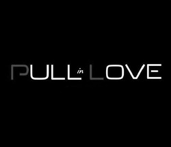 Свідоцтво торговельну марку № 335036 (заявка m202112411): pull in love