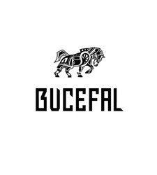 Заявка на торговельну марку № m202504300: bucefal