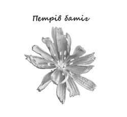 Заявка на торговельну марку № m202523982: петрів батіг