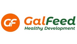 Свідоцтво торговельну марку № 294411 (заявка m201903614): galfeed; gal feed; healthy development; gf
