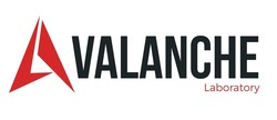 Свідоцтво торговельну марку № 322673 (заявка m202015250): valanche laboratory; а