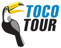 Заявка на торговельну марку № m202519401: toco tour