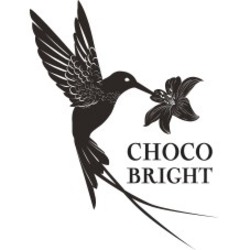 Свідоцтво торговельну марку № 319009 (заявка m202009513): choco bright