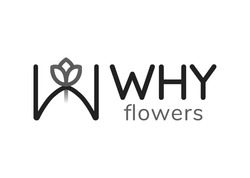 Заявка на торговельну марку № m202500098: why flowers