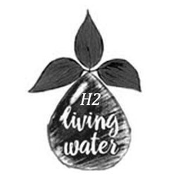 Заявка на торговельну марку № m202021725: h2; living water; н2