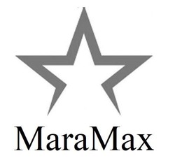 Заявка на торговельну марку № m201917142: maramax; mara max