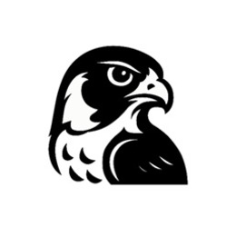 Заявка на торговельну марку № m202510413