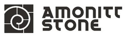 Заявка на торговельну марку № m202413771: amonitt stone